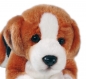 Preview: Beagle liegend 35cm